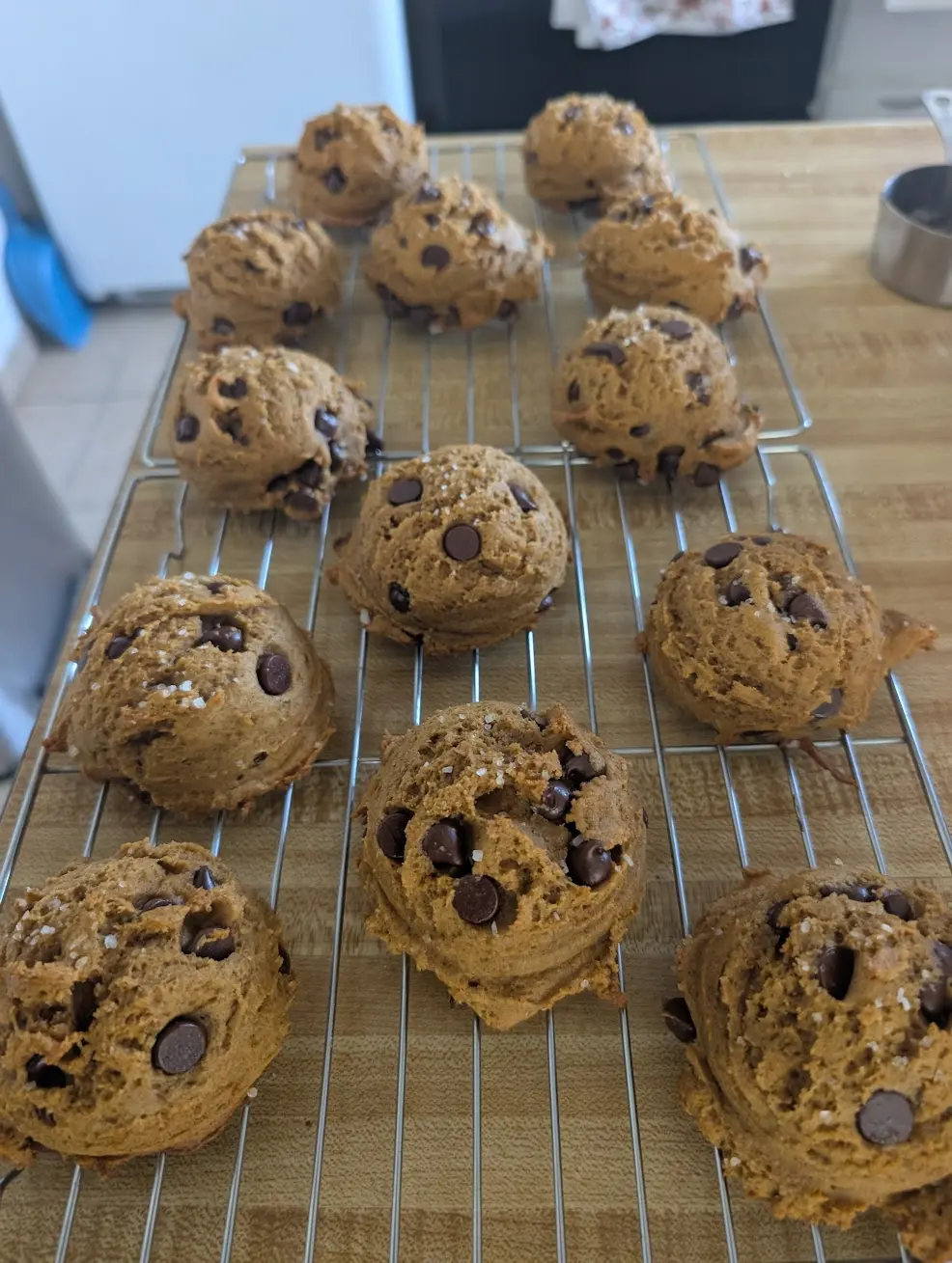 Pumpkin Chocolate Chip Cookies